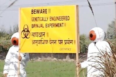 GEAC nod to commercial release of Bt brinjal