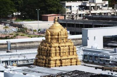 Hair Raising Income! Tirupati Temple Earns Rs 11.17 Crore Auctioning 143.9 Tonnes of Hair