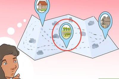 How to Have a Cherry Blossom Viewing