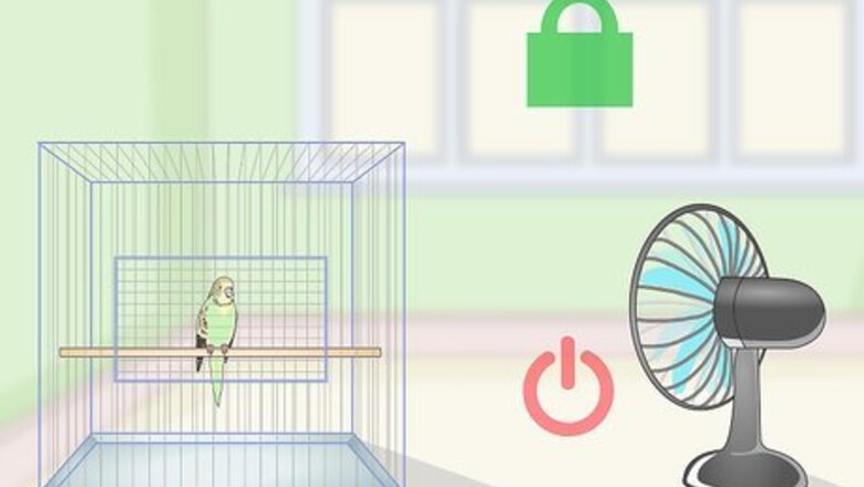 How to Train a Parakeet to Step Up