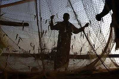 57 Indian fishing boats released by Pakistan reach Porbandar