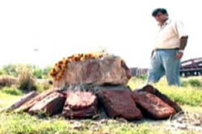 NHRC raps MCD over child cremation