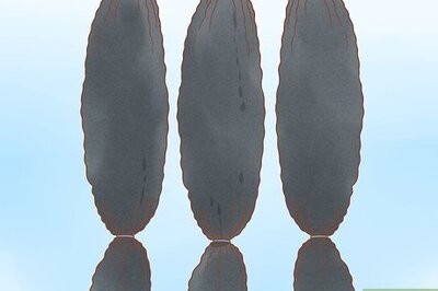 How to Do a Quick Weave