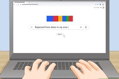 How to Plant Zinnias