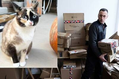 US Family Reunites With Cat After Feline's Amazon Adventure Takes Her To California