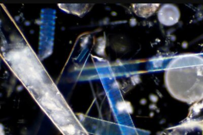 IISc Team Develops Tech for Generating Hydrogen From Biomass