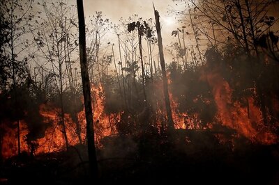 Brazil Fires Ravage World's Largest Wetland, Threaten Endangered Species