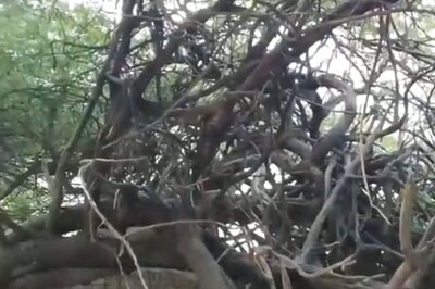 In Mathura, Why Nobody Is Allowed At This Naag Teela In Night