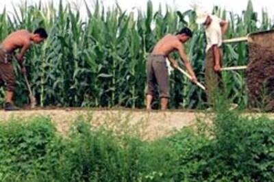 151 dead in North Korea floods