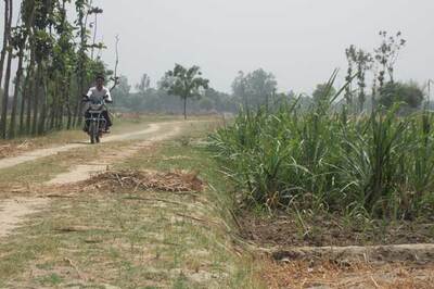 Uttar Pradesh farmers are cane and able
