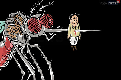 Dengue Virus: Why People with Low Immunity Must be More Careful of Mosquitoes