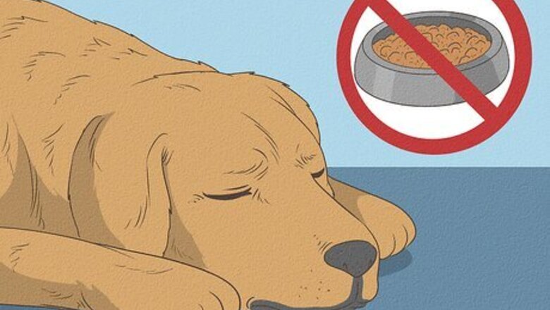 How to Cure a Dog's Stomach Ache