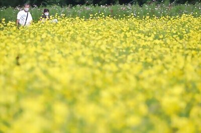 The Latest: India Confirms Over 75,00 New Coronavirus Cases