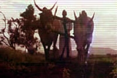 Vidarbha: 5 more farmers end lives