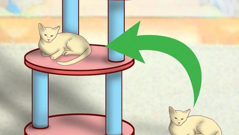 How to Create More Space for Your Cat