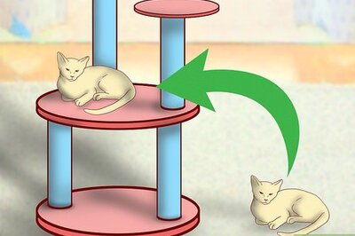 How to Create More Space for Your Cat