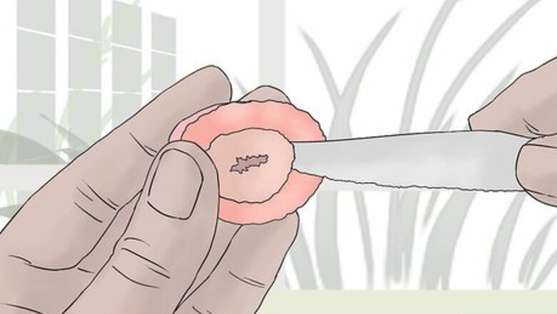How to Make Chocolate Covered Strawberry Jello Shots