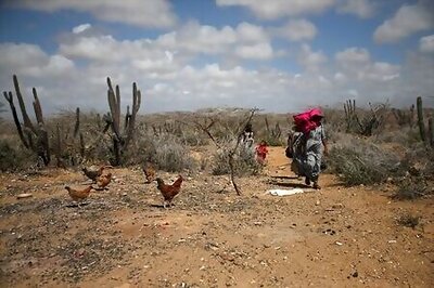 Coronavirus making it harder for Colombia's indigenous Wayuu to survive, report finds