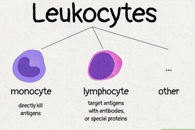 What’s the Difference Between Monocytes and Lymphocytes?
