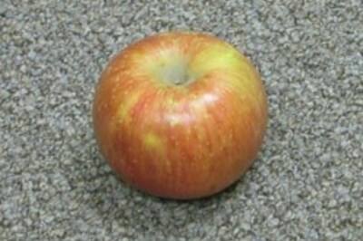 Apples really keep the doctor away