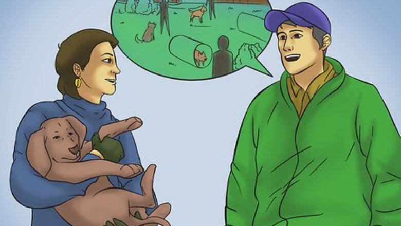 How to Build a Dog Park