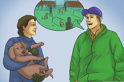 How to Build a Dog Park
