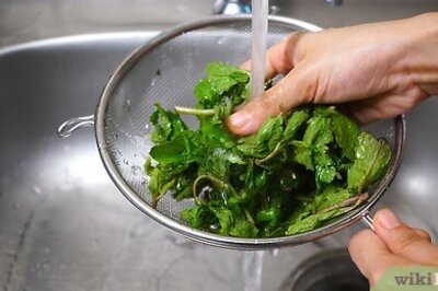 How to Store Mint Leaves to Keep Them Fresh