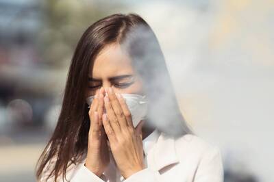 Is Air Pollution Affecting Our Immunity? Find Out