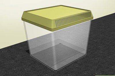 How to Breed Grasshoppers