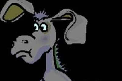 Meet SRK, Sallu, Big B at donkey fair