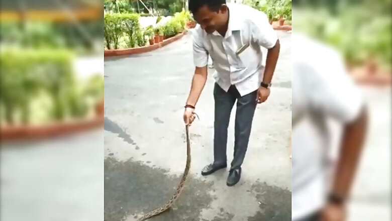 Video of Gujarat Congress Leader Subduing Snake Outside Home Goes Viral