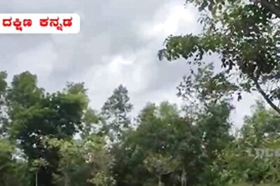 Andhra Farmer Shares His Journey Of Cultivating Dragon Fruit In 6-acre Land