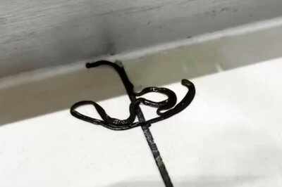 Woman Discovers Black Slimy Object In Her Kitchen, Asks Internet To Identify It