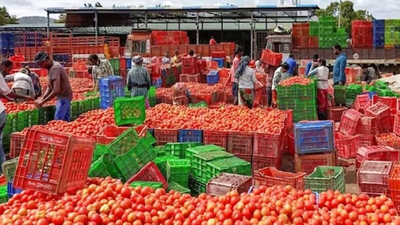 Tomato Prices Decline Sharply in Karnataka to Rs 20 Per Kg as Supply Improves Substantially