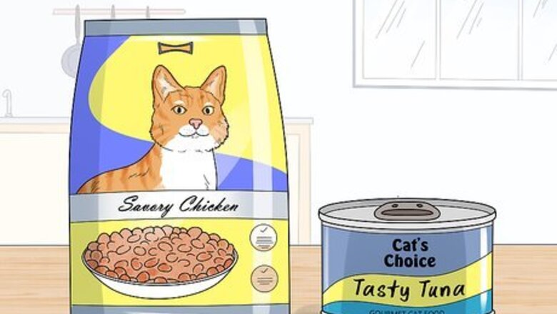 How to Feed an Overweight Cat
