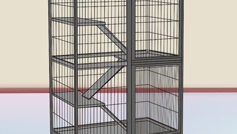How to Play with Your Pet Chinchilla