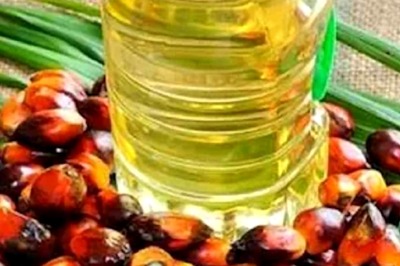 Duty-Free Import Of Edible Oils: Will Cooking Oil Prices Come Down For Consumers? Know Details