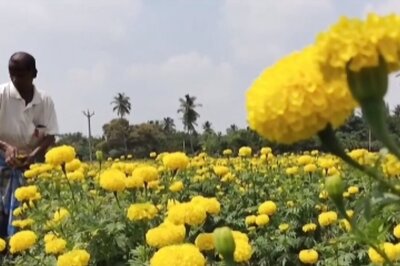 After Working As Labourer In Malaysia For 25 years, Tamil Nadu Farmer Returns To Start His Business