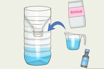 How to Catch Flies