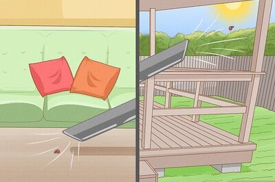 How to Remove Ladybugs from Your Home and Yard