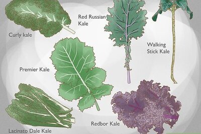 How to Grow Kale