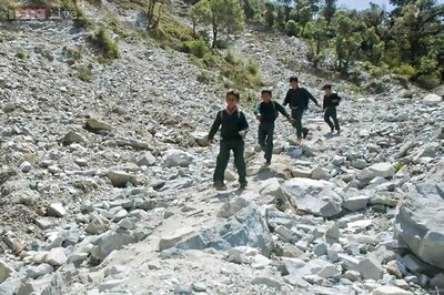 Kaphal review: Funny, moving and sensitive, the film is never overtly sentimental