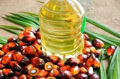Indonesia's Palm Oil Export Ban Effective Today: Here's What You Need To Know
