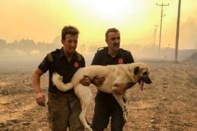 Turkish Wildfires Are Worst Ever, Erdogan Says, As Power Plant Breached