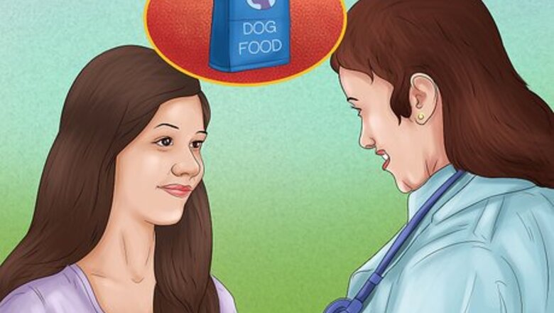 How to Keep a Pitbull
