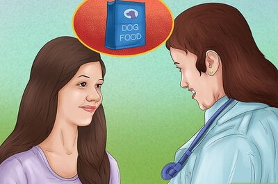 How to Keep a Pitbull