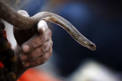 World Health Assembly Passes Resolution To Combat Snakebite Deaths; India to Benefit