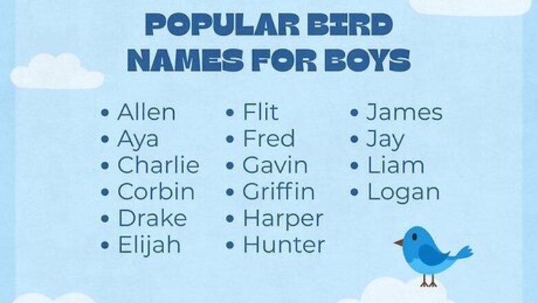 165+ Creative Bird-Themed Names for a Baby Boy