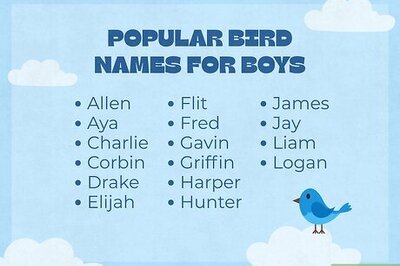 165+ Creative Bird-Themed Names for a Baby Boy